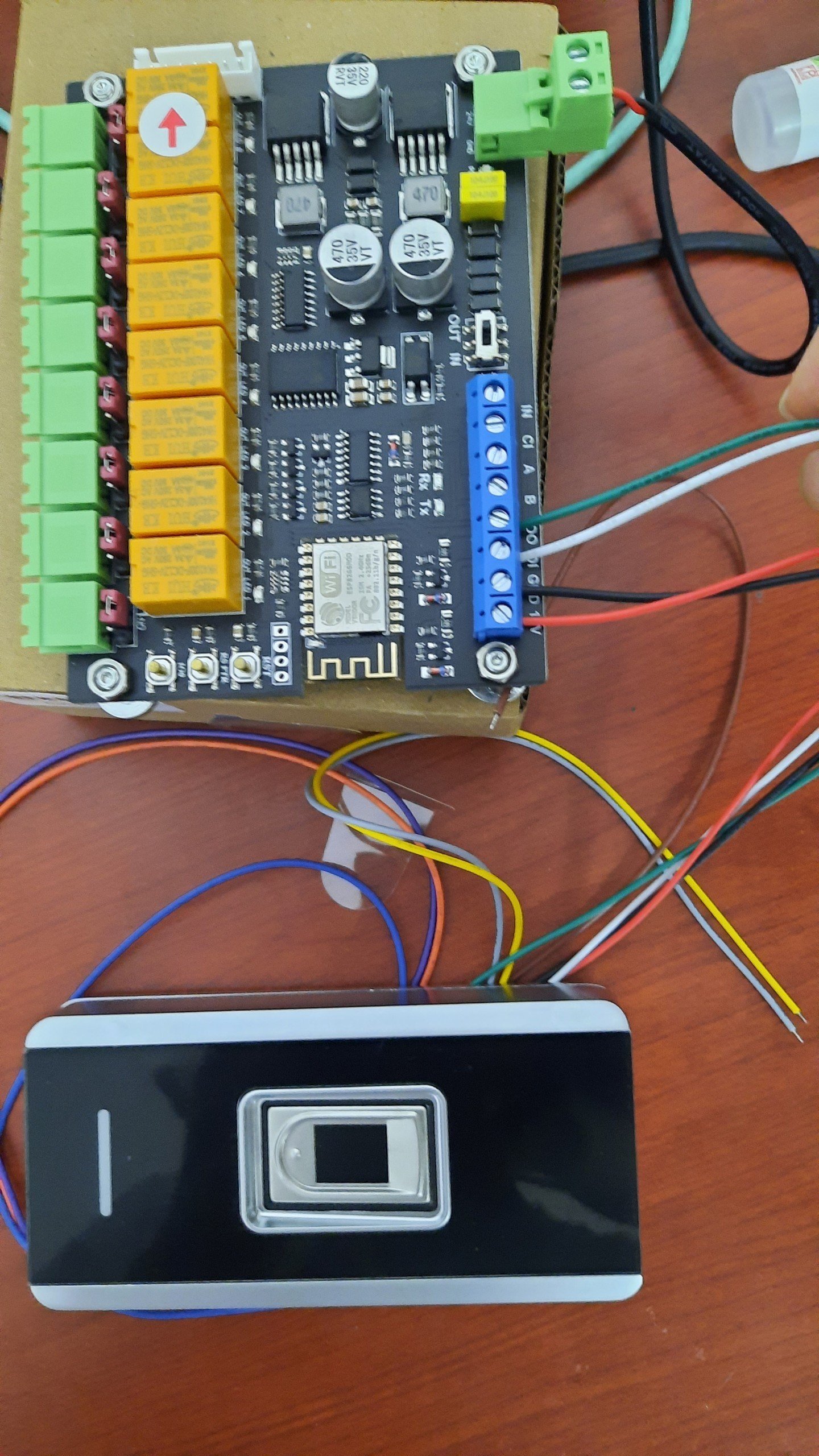 phân tầng vân tay 2250k